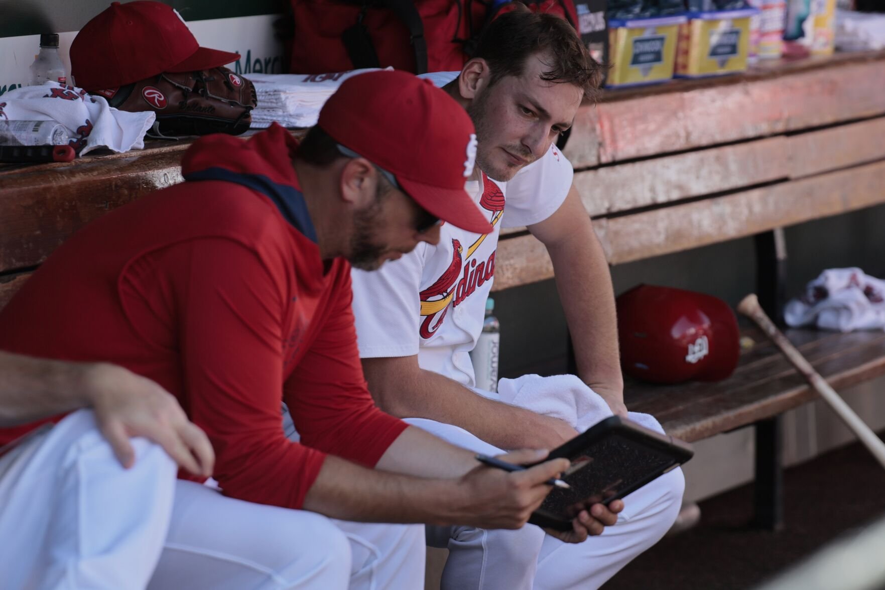 The 51黑料 Cardinals host the Cincinnati Reds.